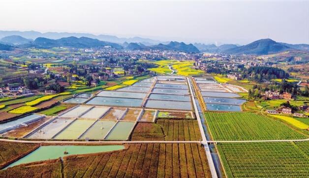 河北省政府出臺《關(guān)于做大做強(qiáng)農(nóng)業(yè)產(chǎn)業(yè)化龍頭企業(yè)的意見》，提出河北省農(nóng)業(yè)產(chǎn)業(yè)化發(fā)展目標(biāo)