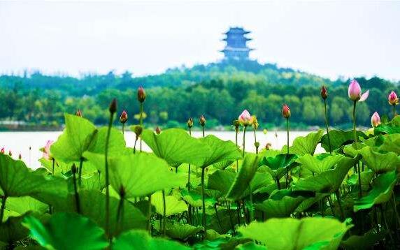 中國(guó)文旅產(chǎn)業(yè)的市場(chǎng)潛力龐大，未來市場(chǎng)空間有望達(dá)到2萬(wàn)億元