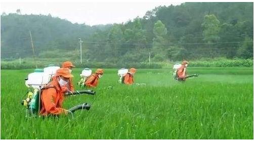 農(nóng)藥行業(yè)仍然具有較大的發(fā)展空間，高效、低毒、低殘留將是其發(fā)展方向