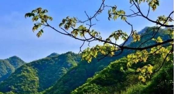 陜西省政府：印發(fā)《秦嶺生態(tài)環(huán)境保護行動方案》，持之以恒有效保護秦嶺這一國家重要生態(tài)安全屏障