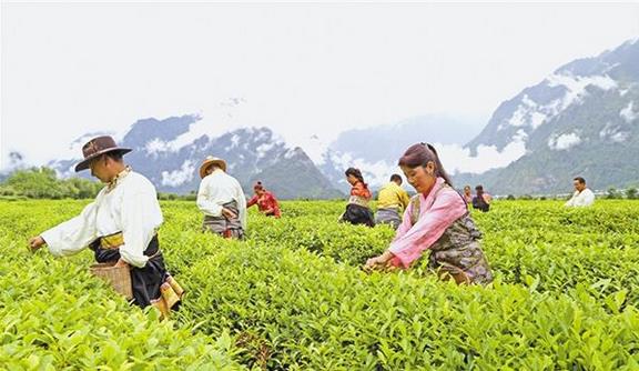 截至2018年底，西藏貧困人口已降至15萬人，貧困發(fā)生率下降到6%以下