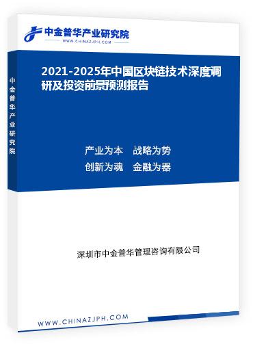 2021-2025年中國區(qū)塊鏈技術深度調(diào)研及投資前景預測報告
