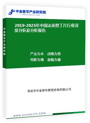 2019-2025年中國法莫替丁片行業(yè)深度分析及分析報(bào)告