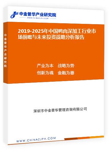 2019-2025年中國(guó)鴨肉深加工行業(yè)市場(chǎng)前瞻與未來投資戰(zhàn)略分析報(bào)告